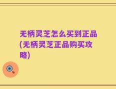 无柄灵芝怎么买到正品(无柄灵芝正品购买攻略)