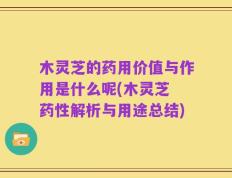 木灵芝的药用价值与作用是什么呢(木灵芝 药性解析与用途总结)