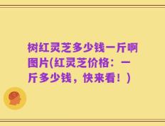 树红灵芝多少钱一斤啊图片(红灵芝价格：一斤多少钱，快来看！)