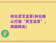林北灵芝盆景(林北精心打造“灵芝盆景”，风靡网友)