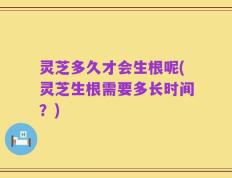 灵芝多久才会生根呢(灵芝生根需要多长时间？)