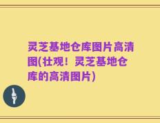 灵芝基地仓库图片高清图(壮观！灵芝基地仓库的高清图片)