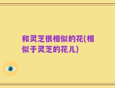 和灵芝很相似的花(相似于灵芝的花儿)