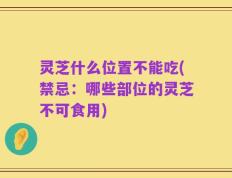 灵芝什么位置不能吃(禁忌：哪些部位的灵芝不可食用)