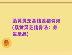 桑黄灵芝金钱莲猪骨汤(桑黄灵芝猪骨汤：养生圣品)