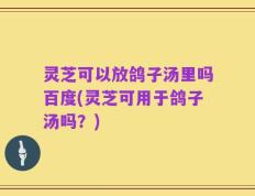 灵芝可以放鸽子汤里吗百度(灵芝可用于鸽子汤吗？)