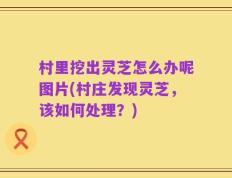 村里挖出灵芝怎么办呢图片(村庄发现灵芝，该如何处理？)