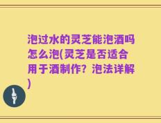泡过水的灵芝能泡酒吗怎么泡(灵芝是否适合用于酒制作？泡法详解)