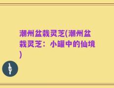 潮州盆栽灵芝(潮州盆栽灵芝：小罐中的仙境)