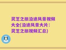 灵芝之旅沿途风景视频大全(沿途风景大片：灵芝之旅视频汇总)