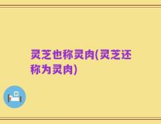 灵芝也称灵肉(灵芝还称为灵肉)