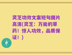 灵芝功效文案短句图片高清(灵芝：万能的草药！惊人功效，品质保证！)