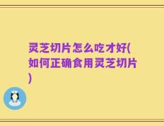 灵芝切片怎么吃才好(如何正确食用灵芝切片)
