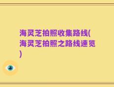 海灵芝拍照收集路线(海灵芝拍照之路线速览)