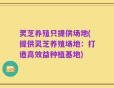 灵芝养殖只提供场地(提供灵芝养殖场地：打造高效益种植基地)