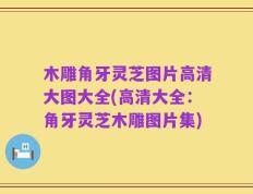 木雕角牙灵芝图片高清大图大全(高清大全：角牙灵芝木雕图片集)