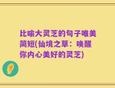 比喻大灵芝的句子唯美简短(仙境之草：唤醒你内心美好的灵芝)
