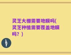 灵芝大棚需要地膜吗(灵芝种植需要覆盖地膜吗？)