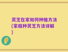 灵芝在家如何种植方法(家庭种灵芝方法详解)