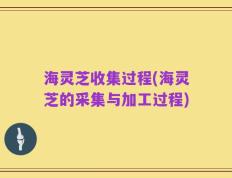 海灵芝收集过程(海灵芝的采集与加工过程)
