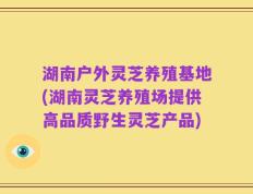 湖南户外灵芝养殖基地(湖南灵芝养殖场提供高品质野生灵芝产品)