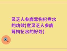 灵芝人参鹿茸枸杞煮水的功效(煮灵芝人参鹿茸枸杞水的好处)