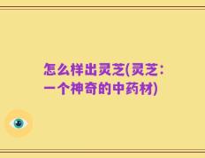 怎么样出灵芝(灵芝：一个神奇的中药材)