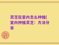 灵芝在室内怎么种植(室内种植灵芝：方法分享