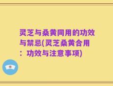 灵芝与桑黄同用的功效与禁忌(灵芝桑黄合用：功效与注意事项)