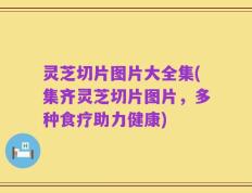 灵芝切片图片大全集(集齐灵芝切片图片，多种食疗助力健康)