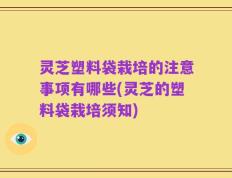 灵芝塑料袋栽培的注意事项有哪些(灵芝的塑料袋栽培须知)