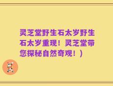 灵芝堂野生石太岁野生石太岁重现！灵芝堂带您探秘自然奇观！)