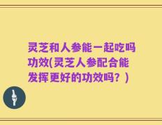 灵芝和人参能一起吃吗功效(灵芝人参配合能发挥更好的功效吗？)