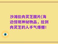 沙滩捡肉灵芝图片(海边惊现神秘物品，捡到肉灵芝的人手气爆棚！