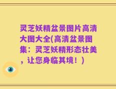 灵芝妖精盆景图片高清大图大全(高清盆景图集：灵芝妖精形态壮美，让您身临其境！)