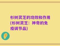 杉树灵芝的功效和作用(杉树灵芝：神奇的免疫调节品)