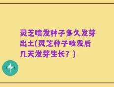 灵芝喷发种子多久发芽出土(灵芝种子喷发后几天发芽生长？)