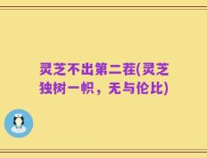 灵芝不出第二茬(灵芝独树一帜，无与伦比)