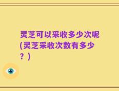 灵芝可以采收多少次呢(灵芝采收次数有多少？)