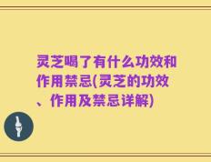灵芝喝了有什么功效和作用禁忌(灵芝的功效、作用及禁忌详解)