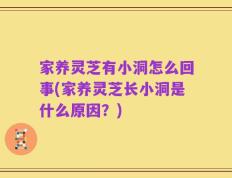 家养灵芝有小洞怎么回事(家养灵芝长小洞是什么原因？)