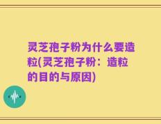 灵芝孢子粉为什么要造粒(灵芝孢子粉：造粒的目的与原因)