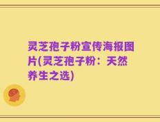 灵芝孢子粉宣传海报图片(灵芝孢子粉：天然养生之选)