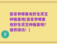 张家界哪里有野生灵芝种植基地(张家界哪里有野生灵芝种植基地？推荐探访！)