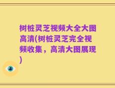 树桩灵芝视频大全大图高清(树桩灵芝完全视频收集，高清大图展现)