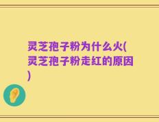 灵芝孢子粉为什么火(灵芝孢子粉走红的原因)