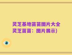 灵芝基地苗苗图片大全灵芝苗苗：图片展示)
