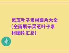 灵芝叶子素材图片大全(全面展示灵芝叶子素材图片汇总)