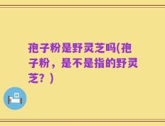 孢子粉是野灵芝吗(孢子粉，是不是指的野灵芝？)