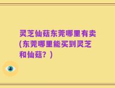 灵芝仙菇东莞哪里有卖(东莞哪里能买到灵芝和仙菇？)